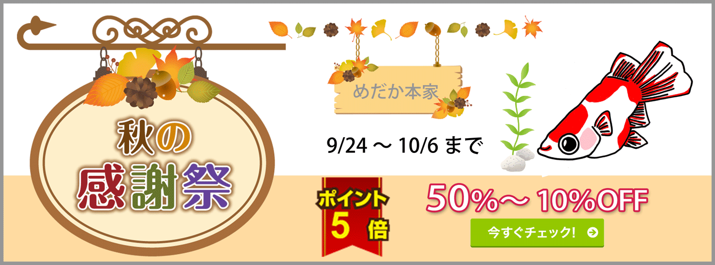 2019秋の感謝祭 めだか本家