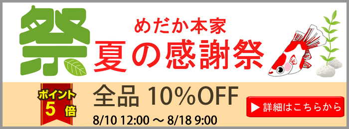 夏の感謝祭