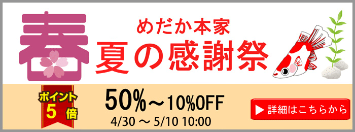 いろいろカラフルめだか