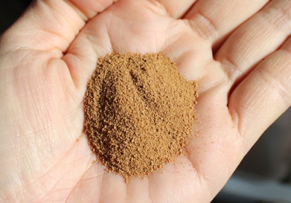 めだかの餌 色上げ用 50g