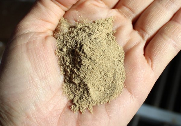 メダカのエサ 500g