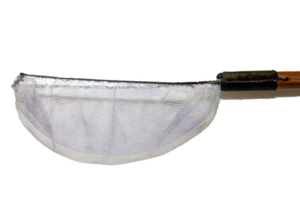 手作り 根鞭柄 ねぶちえ 選別網 白色 扇型 めだか 金魚用
