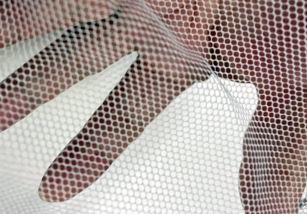 画像5: 【送料無料】【2つまで対応：ゆうパケット】根鞭柄（ねぶちえ）選別網 扇型（小） [N-3] (5)